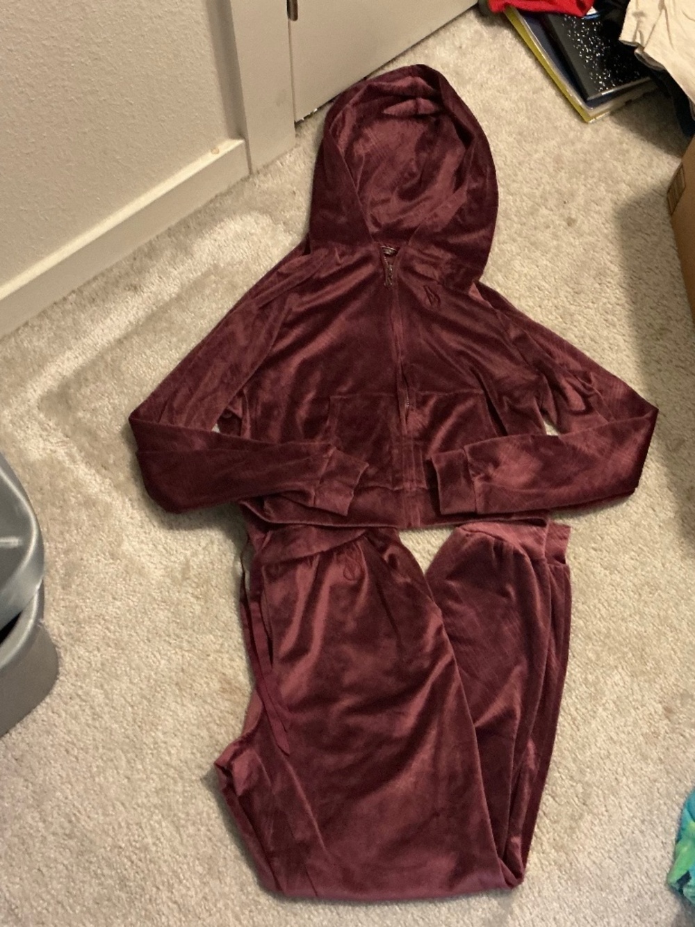 Victoria’s Secret Velour Jogger and Hoodie Set